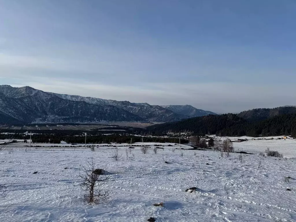Участок в Алтай, Чемальский район, Элекмонарское с/пос  (98.5 сот.) - Фото 0