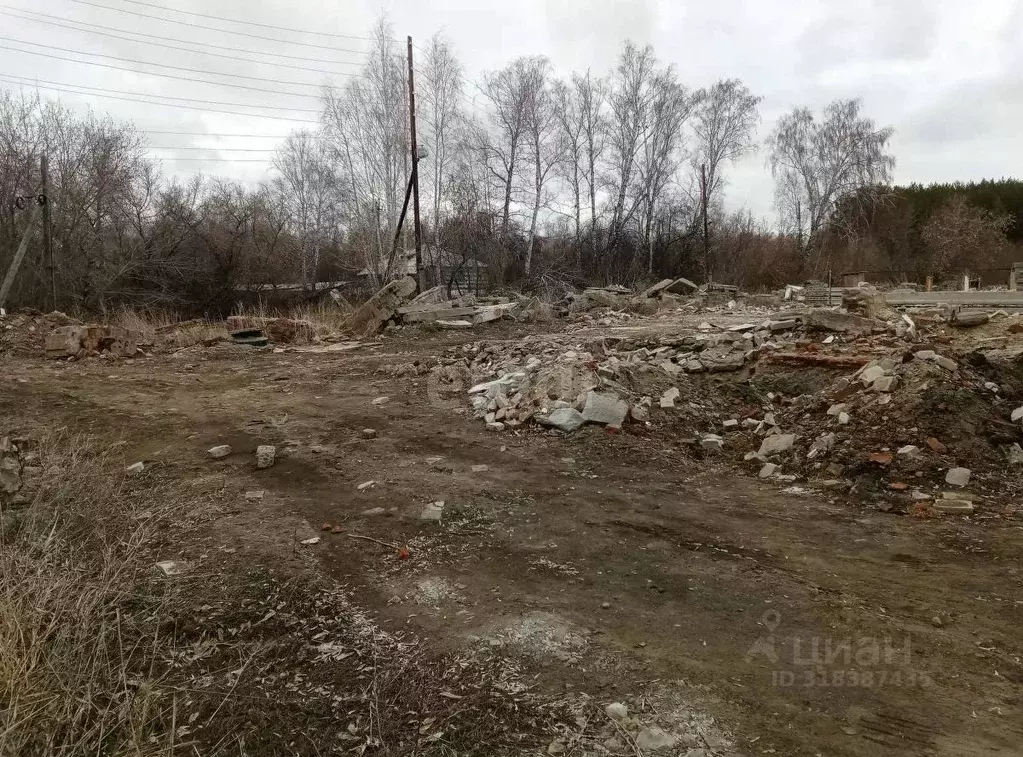 Участок в Курганская область, Шадринский муниципальный округ, с. ... - Фото 1