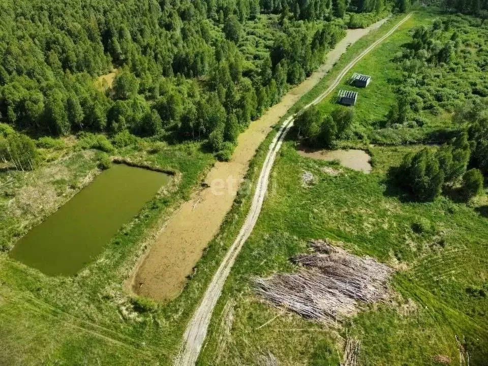 Участок в Тюменская область, Нижнетавдинский муниципальный округ, ... - Фото 1