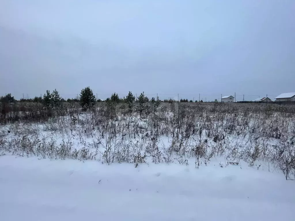 Участок, 8 сот., поселения (ижс) - Фото 1