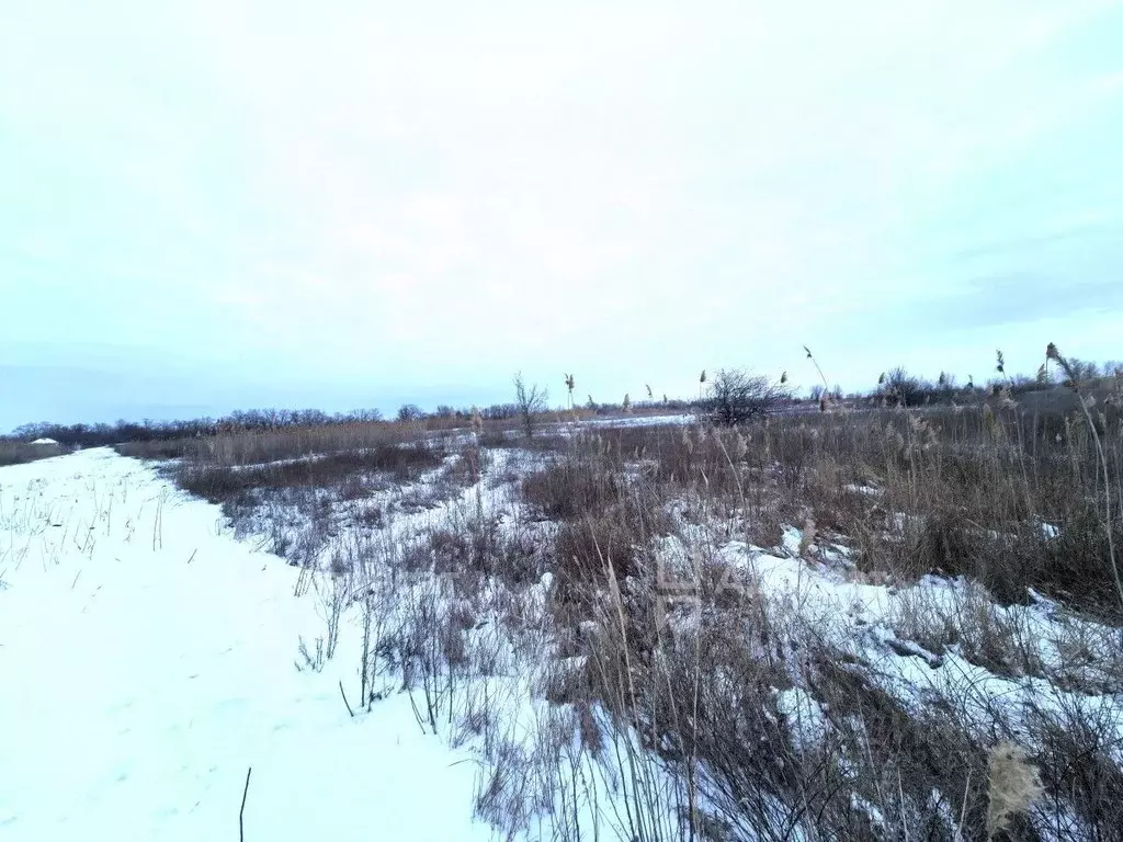 Участок в Волгоградская область, Краснослободск Среднеахтубинский ... - Фото 1