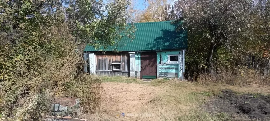 Дом в Пензенская область, Лунинский район, с. Старая Кутля ул. Максима ... - Фото 1