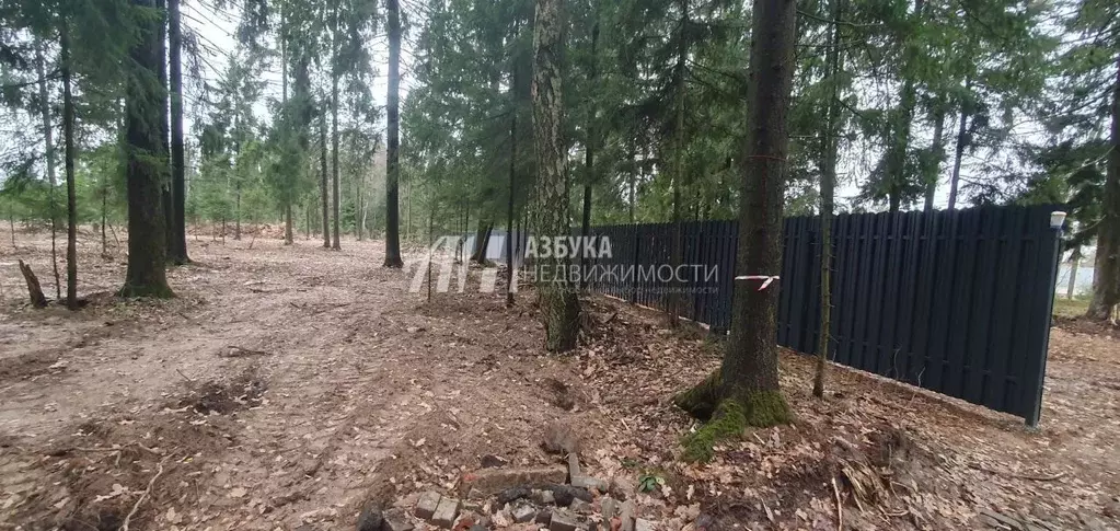 Участок в Московская область, Наро-Фоминский городской округ, д. ... - Фото 1