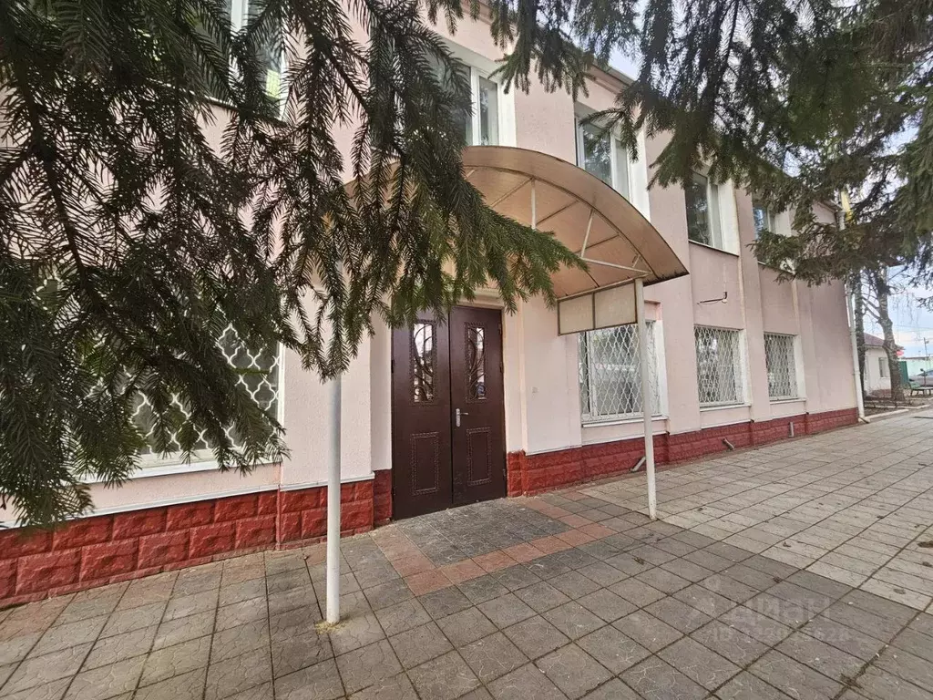 Офис в Орловская область, Орел ул. Спивака, 74 (33 м) - Фото 1