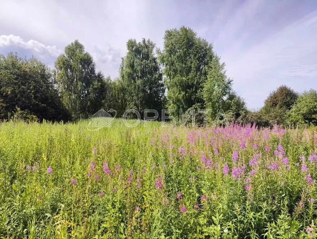 Участок в Тюменская область, Тюменский муниципальный округ, ... - Фото 2