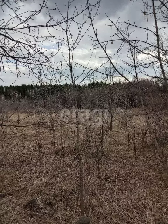 Участок в Курганская область, Далматово Советская ул. (15.0 сот.) - Фото 0