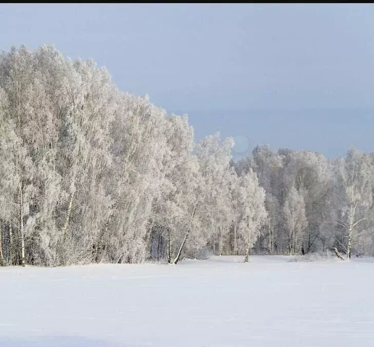 2-к. квартира, 51,4м, 2/7эт. - Фото 1