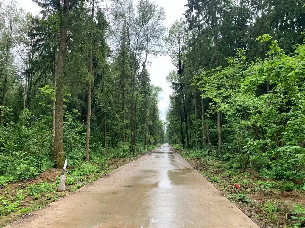 Участок в Московская область, Дмитровский муниципальный округ, д. ... - Фото 1