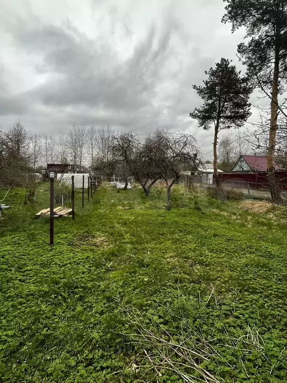 Участок 6,8 сот. (СНТ, ДНП) - Фото 0