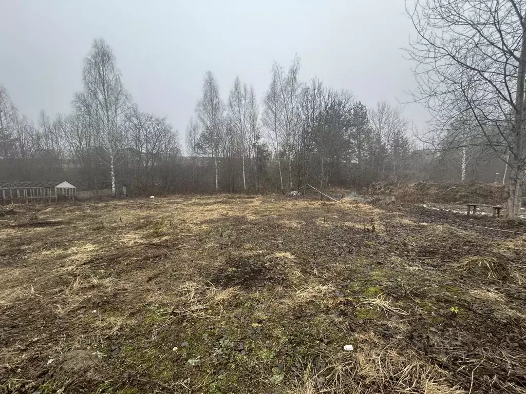 Участок в Брянская область, Брянский район, Супоневское с/пос, Рассвет ... - Фото 2