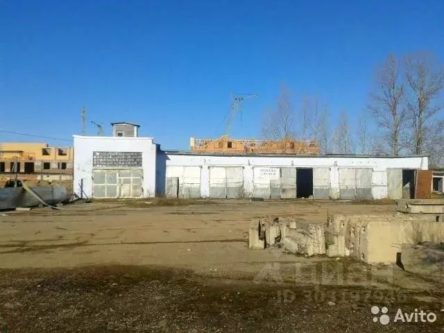 Помещение свободного назначения в Новгородская область, Великий ... - Фото 1