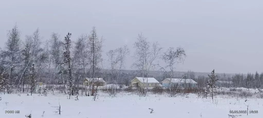 Участок в Саха (Якутия), Якутск городской округ, с. Маган  (11.0 сот.) - Фото 1