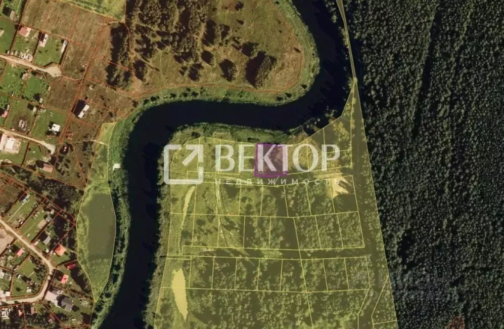 Участок в Ярославская область, Некрасовский муниципальный округ, Малые ... - Фото 2