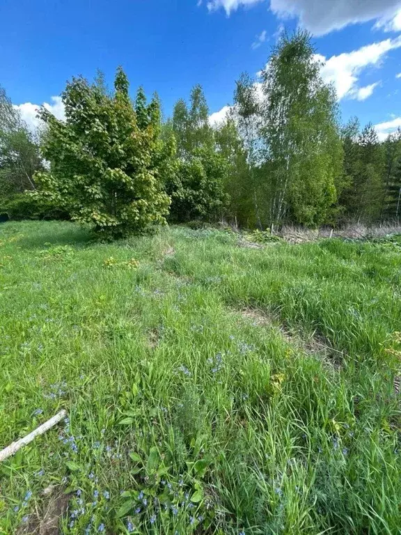 Участок в Московская область, Коломна городской округ, д. Свиридоново ... - Фото 0