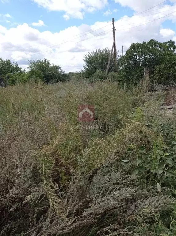 Участок в Саратовская область, Красноармейский район, Сплавнухинское ... - Фото 1