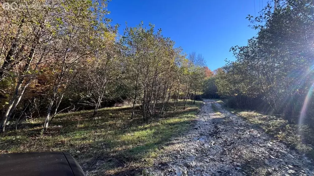 Дом в Краснодарский край, городской округ Сочи, село Черешня (6 м) - Фото 1