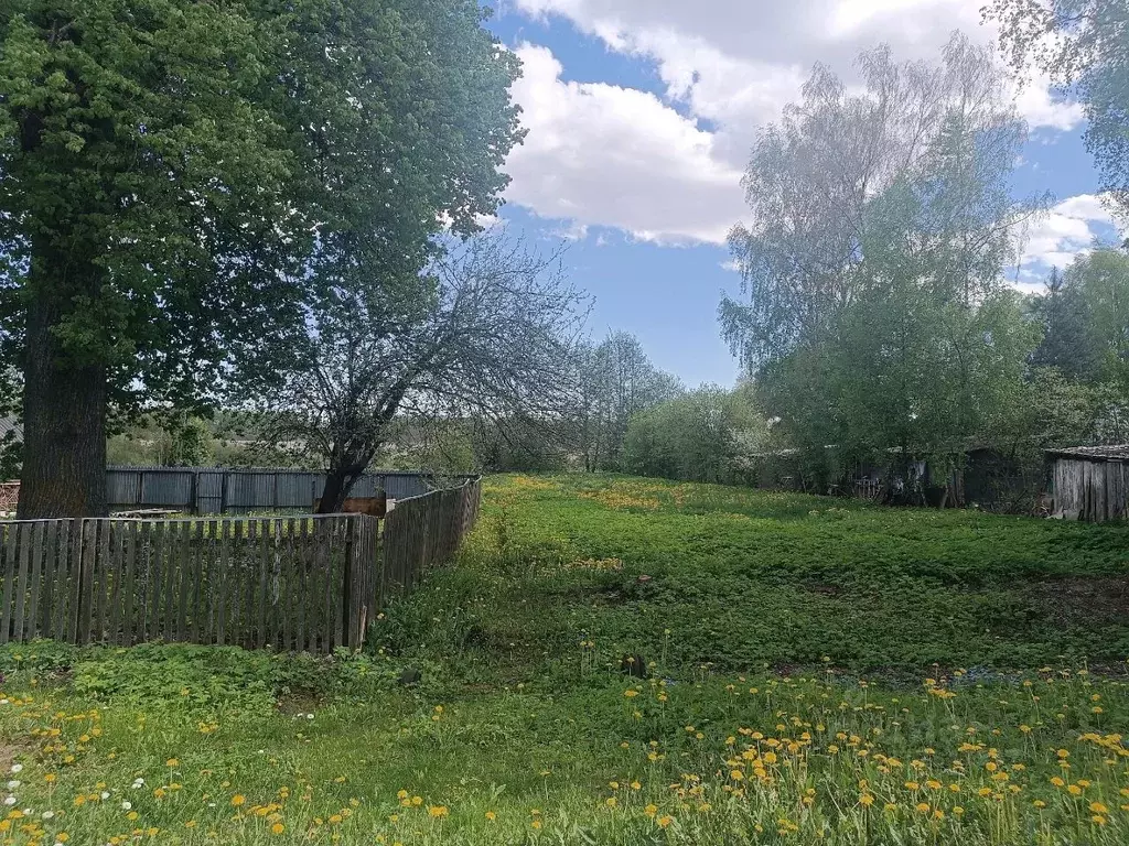 Участок в Новгородская область, Новгородский район, Ракомское с/пос, ... - Фото 0