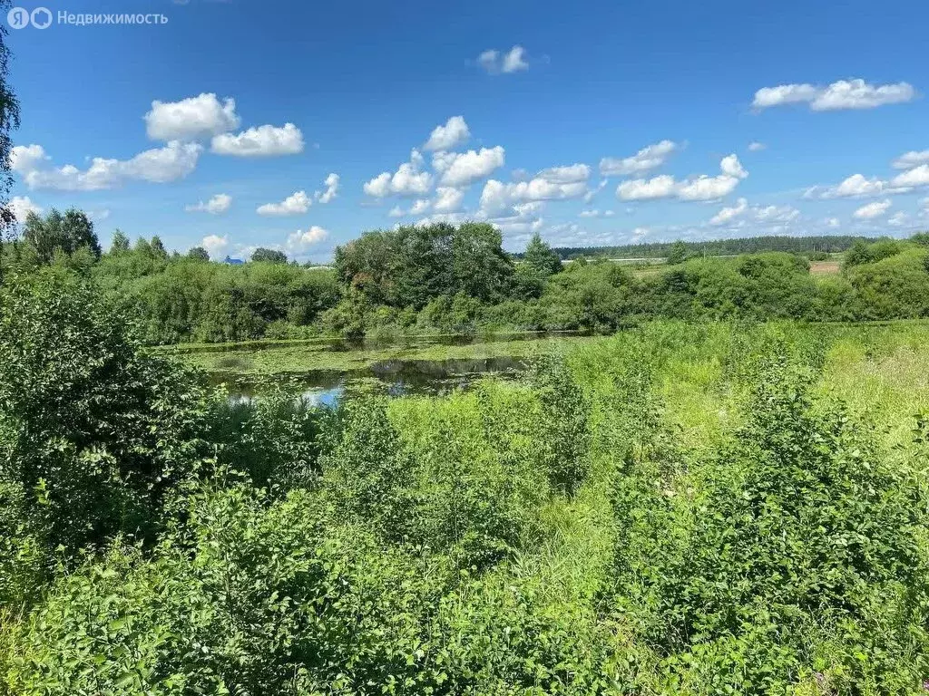 Участок в Вологда, улица Александра Клубова (10.95 м) - Фото 0