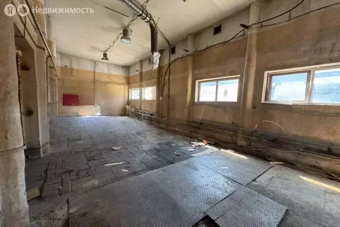 Помещение свободного назначения (340 м) - Фото 0