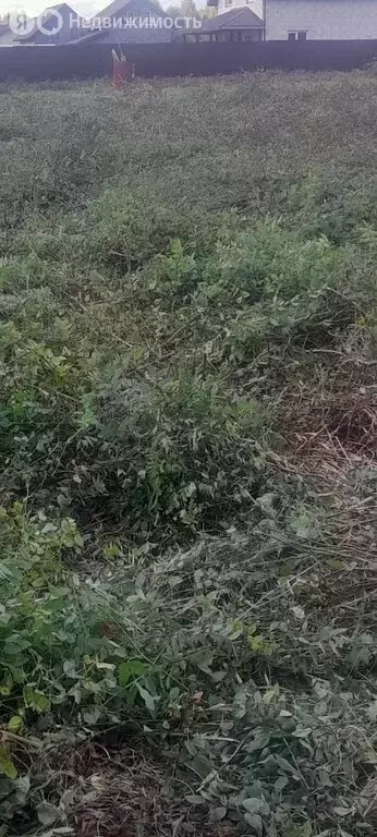 Участок в муниципальное образование Киров, деревня Бони, Шалаевский ... - Фото 1