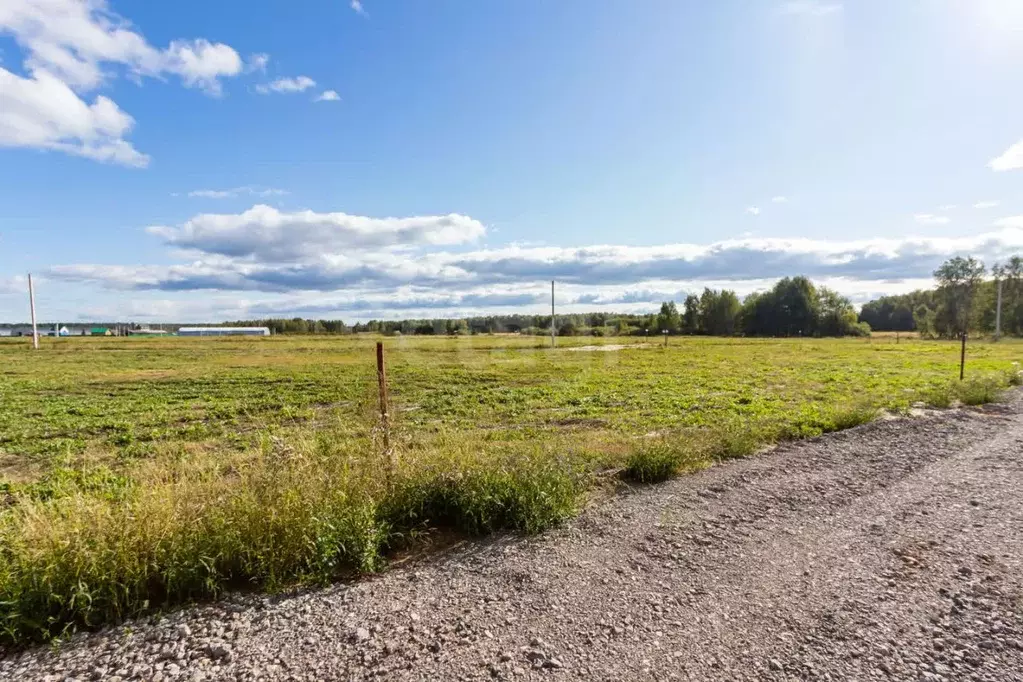 Участок в Свердловская область, Тугулымский муниципальный округ, с. ... - Фото 1
