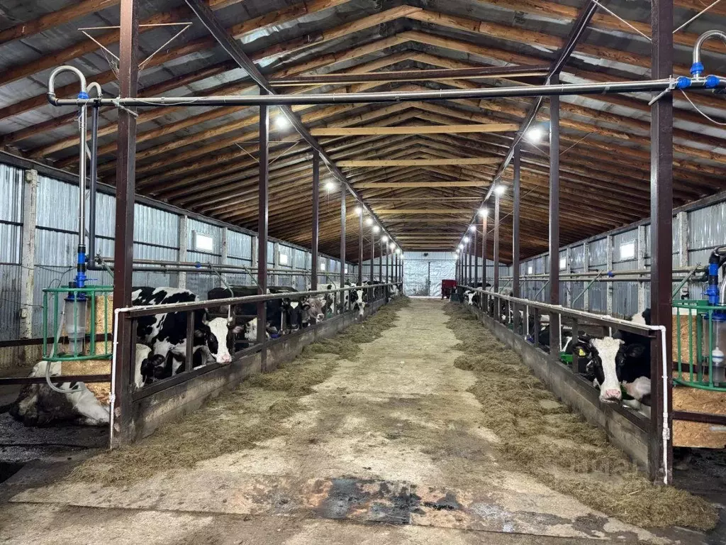 Участок, 2000 сот., фермерское хоз-во - Фото 2