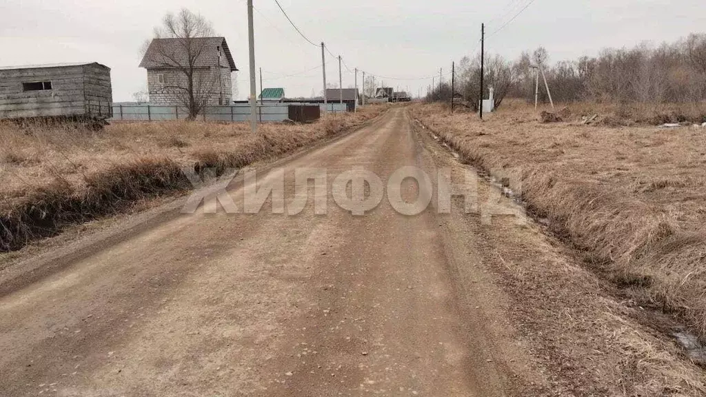 Участок в Новосибирская область, Коченевский район, д. Чик ул. ... - Фото 2