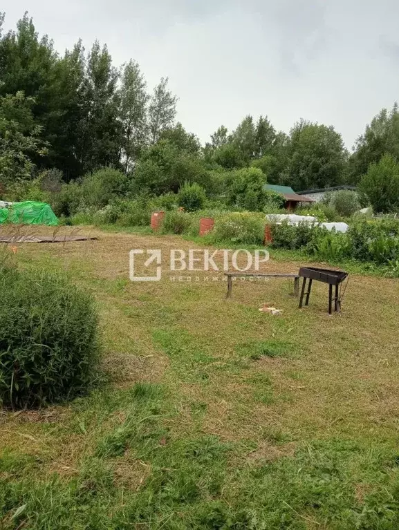 Дом в Костромская область, Кострома Березка-3 СНТ, 74 (20 м) - Фото 1