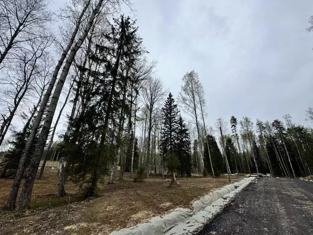 Участок в Ленинградская область, Всеволожский район, Куйвозовское ... - Фото 1