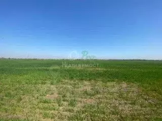 Участок в Краснодарский край, Ейский район, Кухаривское с/пос, ... - Фото 1