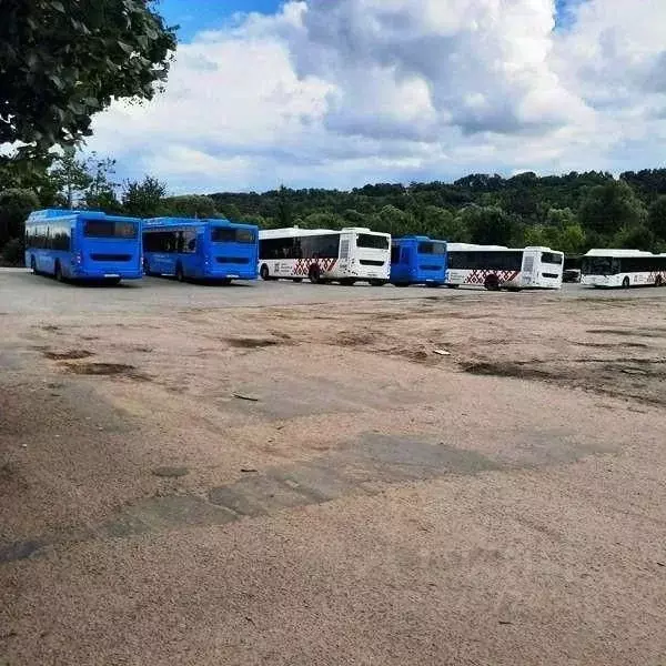 Участок в Белгородская область, Яковлевский муниципальный округ, с. ... - Фото 2