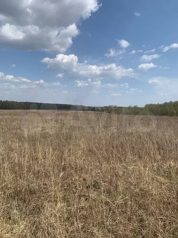 Участок 12 сот. (СНТ, ДНП) - Фото 0