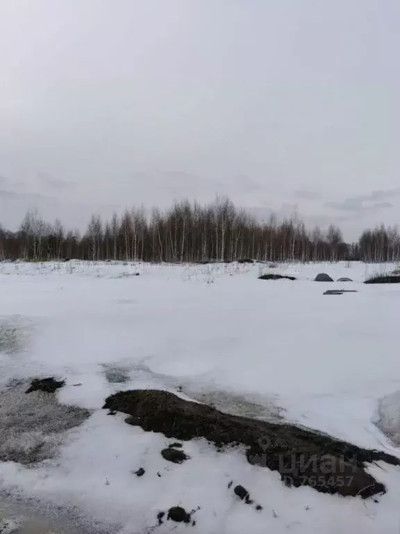 Участок в Татарстан, Лаишево муниципальное образование Город, д. ... - Фото 1