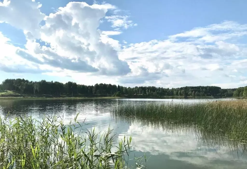 Участок в Новгородская область, Валдайский район, Рощинское с/пос, д. ... - Фото 1