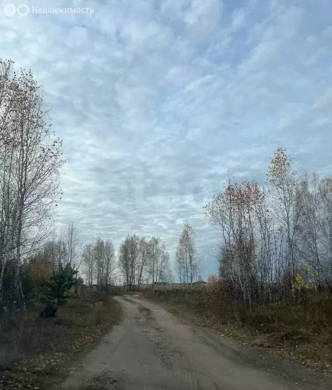 Участок в Тюменский район, рабочий посёлок Винзили (11.39 м) - Фото 0