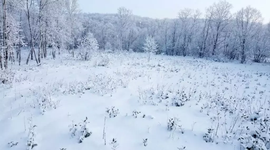 Участок в Камчатский край, Елизовский муниципальный округ, Рыбак СНТ  ... - Фото 1