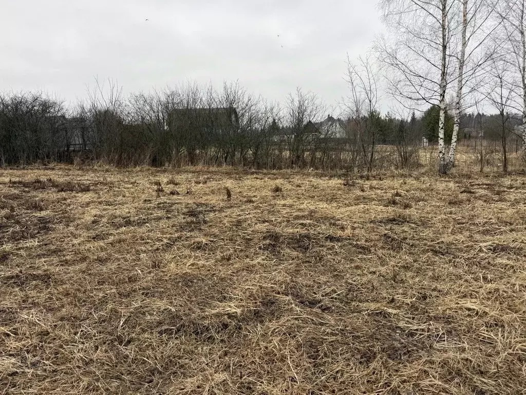Участок в Московская область, Пушкинский городской округ, д. Якшино  ... - Фото 1