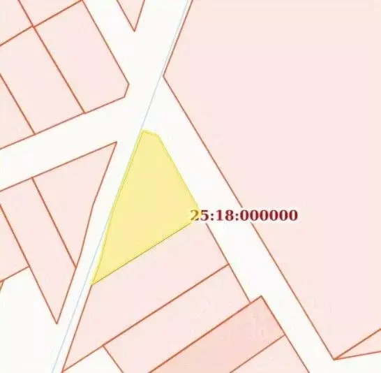 Участок в Приморский край, Уссурийский городской округ, с. Борисовка ... - Фото 2