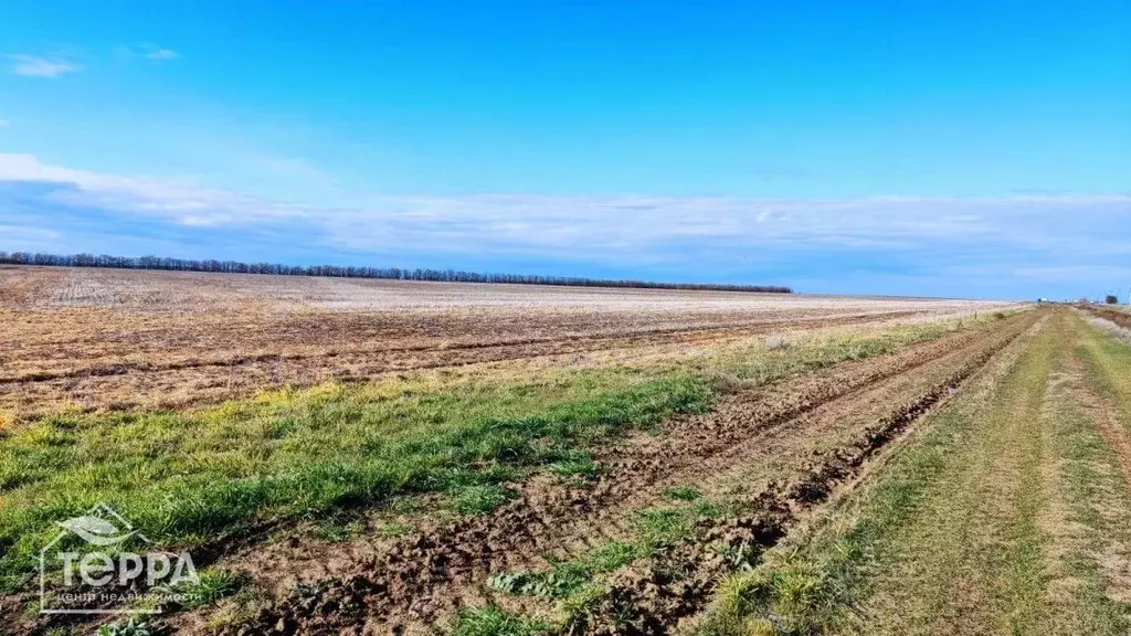 Участок в Крым, Сакский район, Ромашкинское с/пос, с. Колоски  (720.0 ... - Фото 0