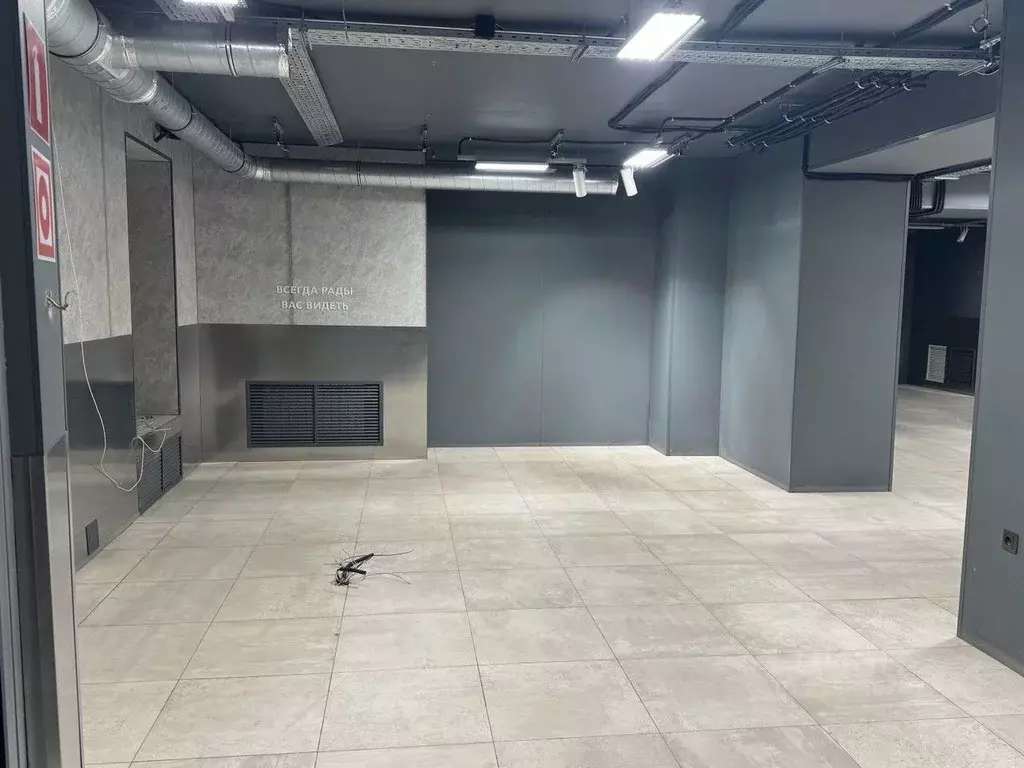 Помещение свободного назначения в Владимирская область, Кольчугино ул. ... - Фото 1