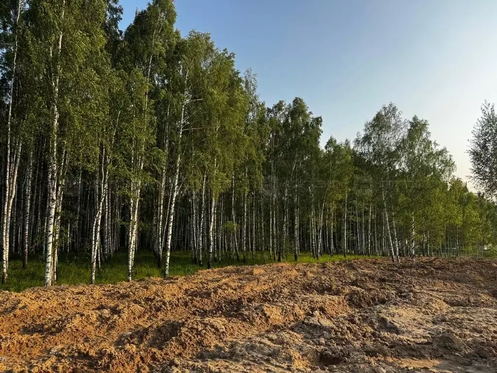 Участок в Татарстан, Казань пер. Дивный, 15 (16.0 сот.) - Фото 1