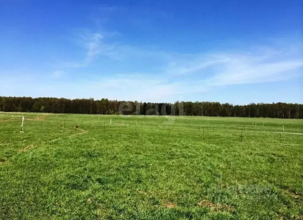 Участок в Краснодарский край, Северский район, Калужское с/пос, ... - Фото 1
