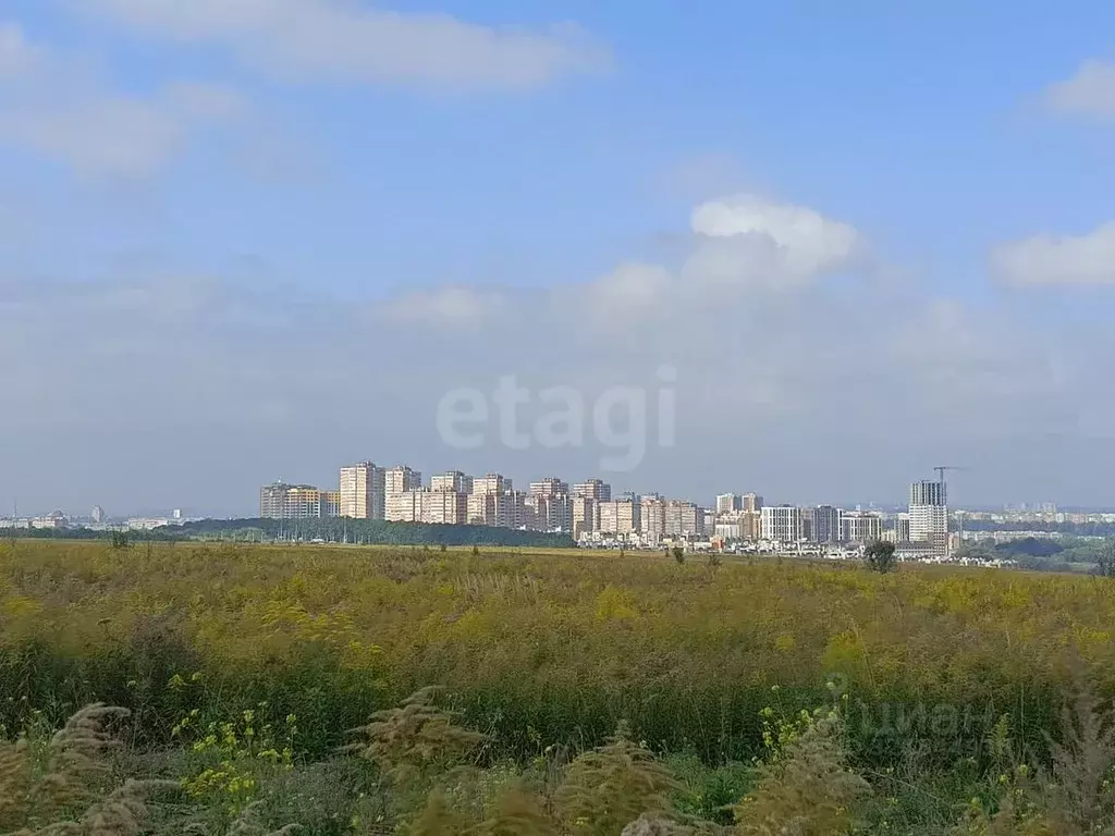 Участок в Тульская область, Тула городской округ, с. Осиновая Гора  ... - Фото 0