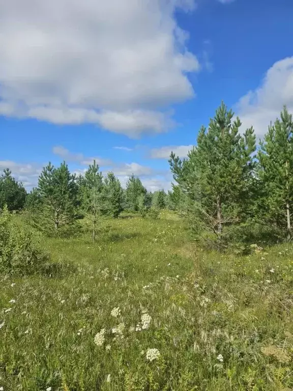 Участок в Тюменская область, Тюменский район, с. Салаирка  (12.0 сот.) - Фото 0