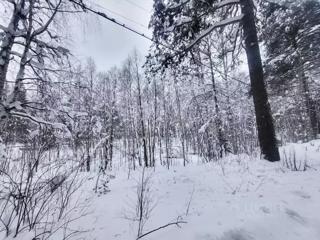 Участок в Коми, Сыктывкар городской округ, Краснозатонский пгт, Лемью ... - Фото 1