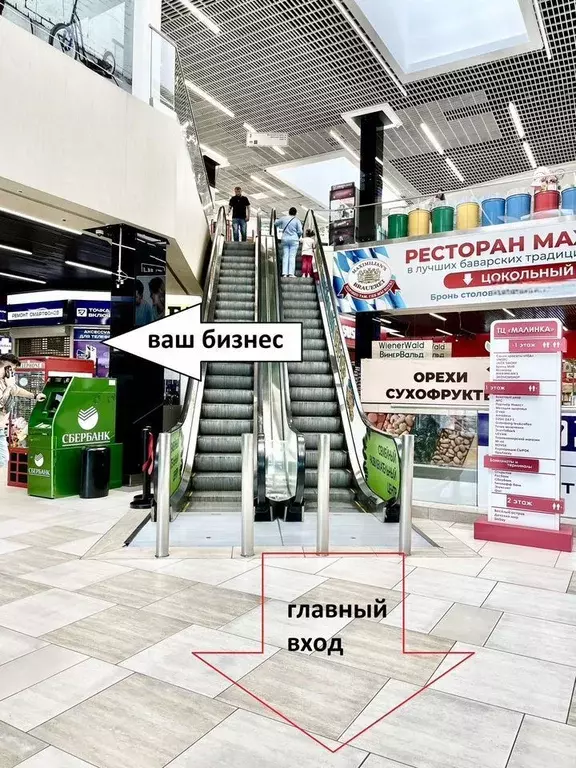 Торговая площадь в Новосибирская область, Новосибирск ул. Дуси ... - Фото 1