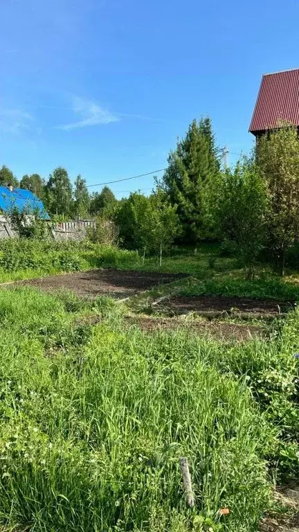Дом в Свердловская область, Екатеринбург Рябинушка СНТ, ул. Кленовая ... - Фото 1