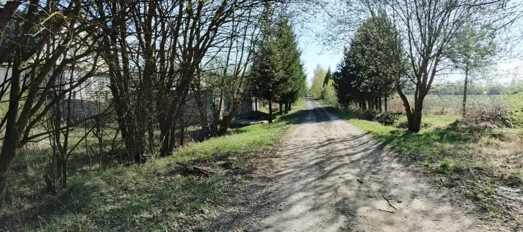 Участок в Владимирская область, Собинский муниципальный округ, д. ... - Фото 0
