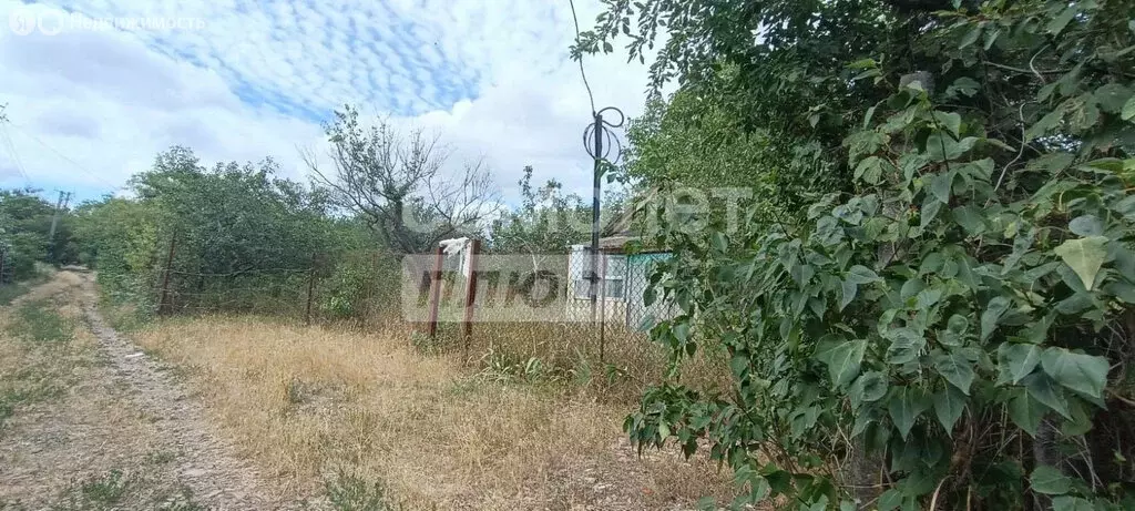 Участок в Ейск, СНТ Садовод (5 м) - Фото 0