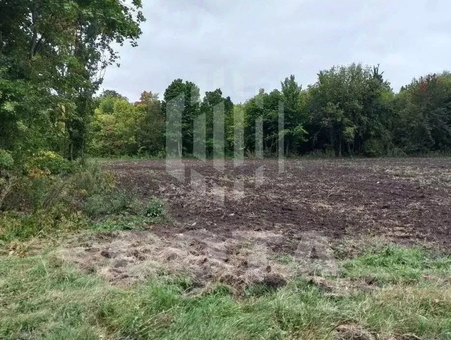 Участок в Воронежская область, Новоусманский район, ... - Фото 2